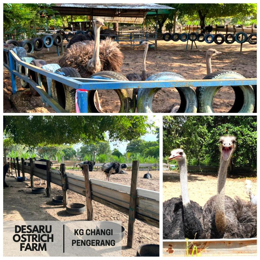 Desaru, Bayu Balau Beach Resort Bandar Penawar Екстер'єр фото